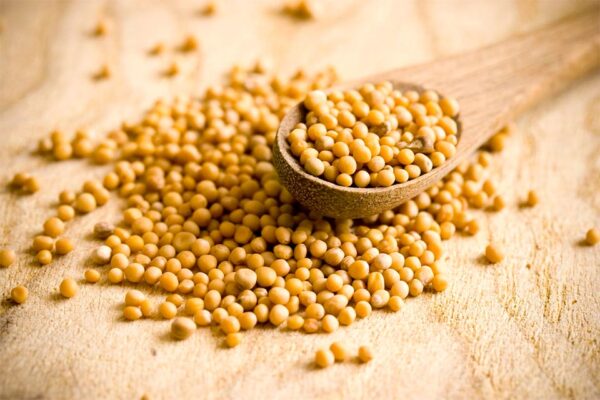 Mostaza en grano 100g