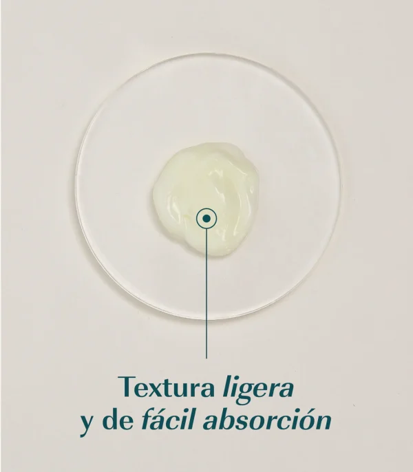 Crema hidratante green corners - Imagen 3