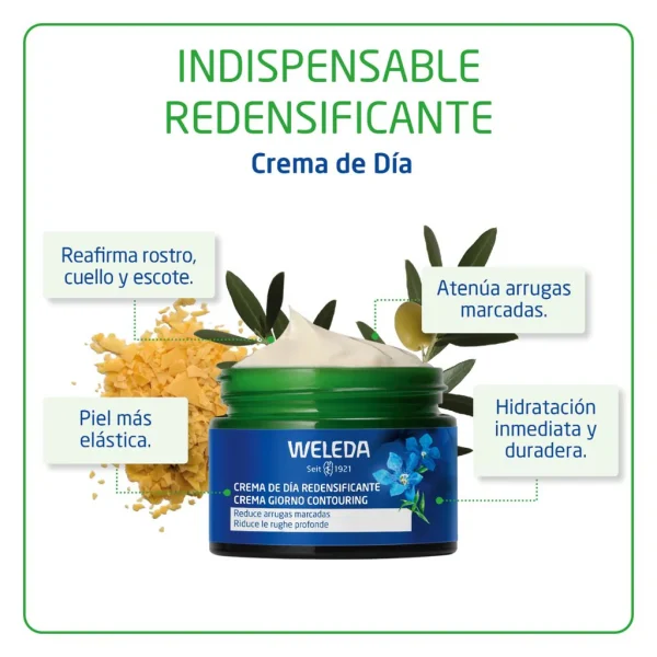 Crema de Día Redensificante de Genciana Azul y Edelweiss - Imagen 3