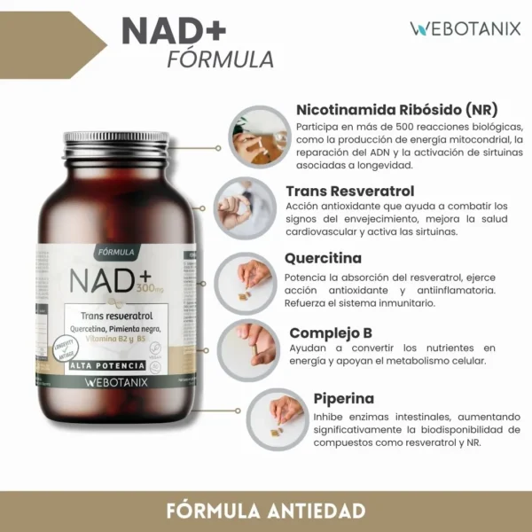 NAD+ Trans Resveratrol Fórmula webotanix - Imagen 6