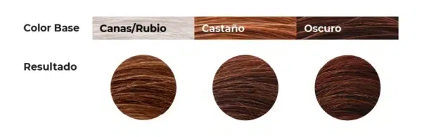 Tinte 4.1 - Castaño Medio Ceniza CHROMA - Imagen 2