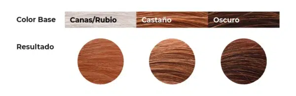 Tinte 5.1 - Castaño Claro Ceniza CHROMA - Imagen 3
