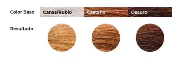 Tinte 5.3 - Castaño Claro Dorado CHROMA - Imagen 4