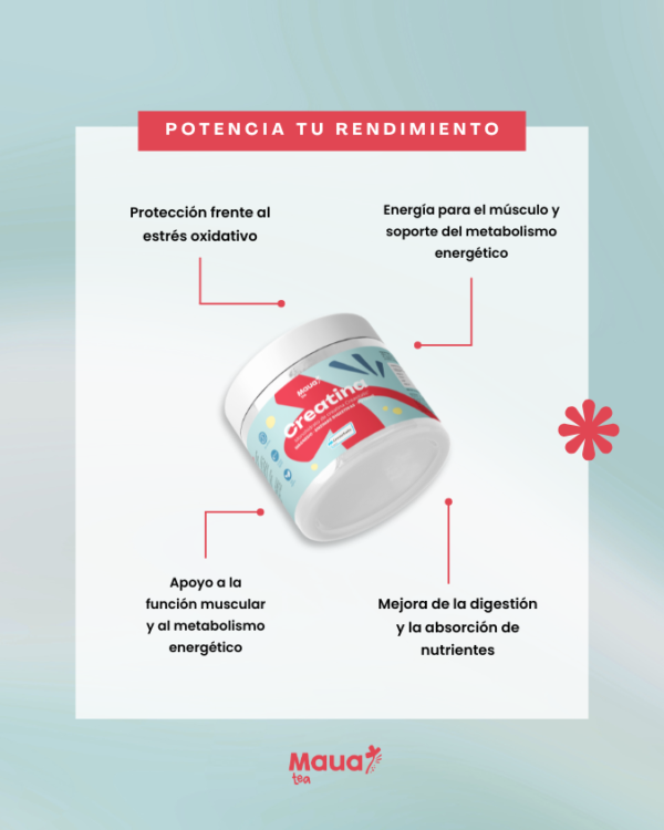 Creatina Maua Tea - Imagen 6