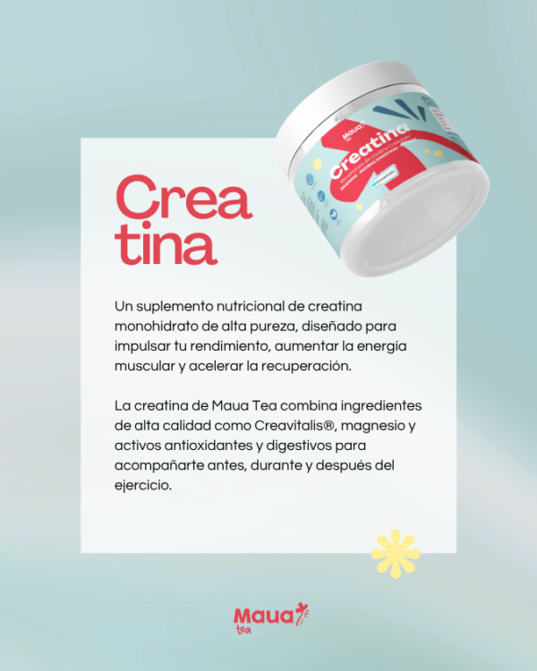 Creatina Maua Tea - Imagen 2