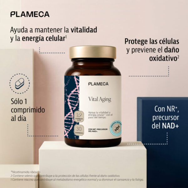 Vital aging 30 comprimidos plameca - Imagen 2