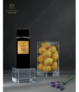 PERFUME ESSENZA CITRUS OMBRA - Imagen 2