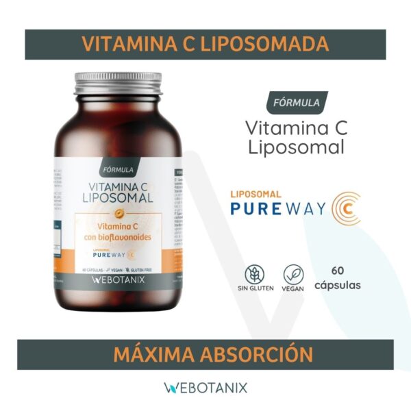 Vitamina C Liposomal WEBONTANIX - Imagen 3