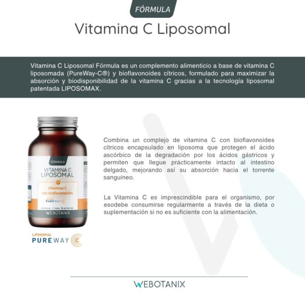 Vitamina C Liposomal WEBONTANIX - Imagen 4