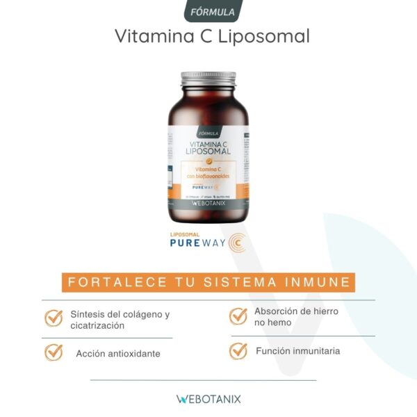 Vitamina C Liposomal WEBONTANIX - Imagen 5