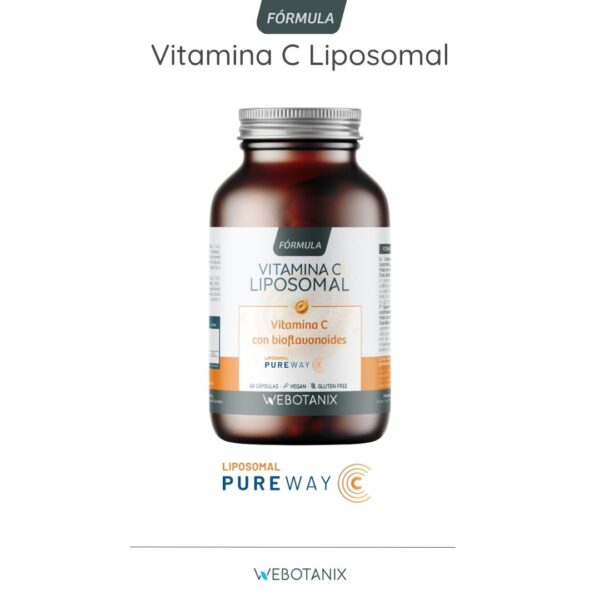 Vitamina C Liposomal WEBONTANIX - Imagen 6